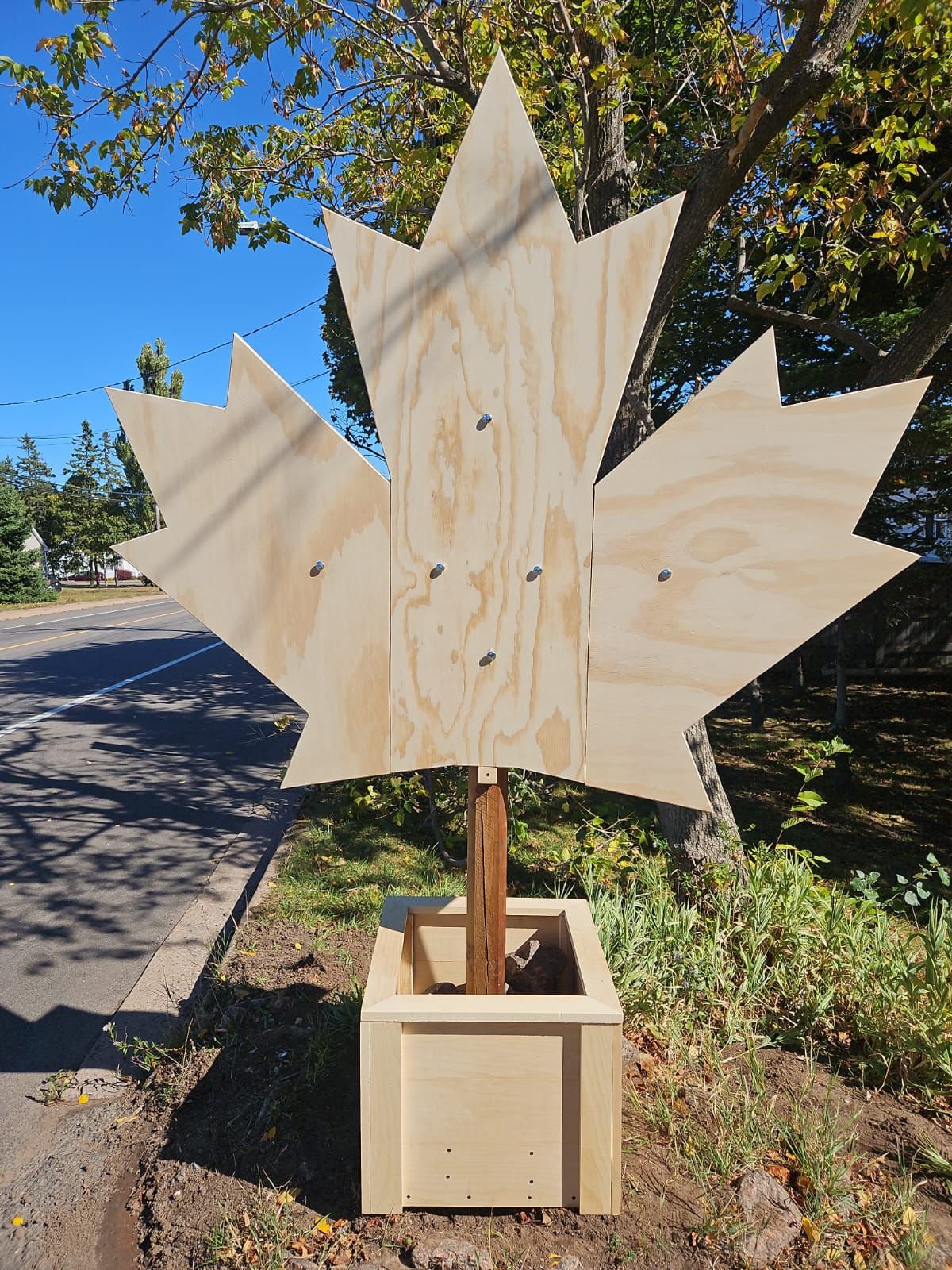 Maple Leaf Wooden Structure